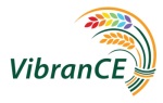 vibranCE