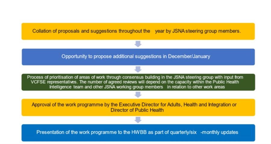 JSNA work programme process