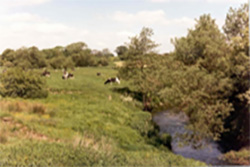 Image of countryside fields