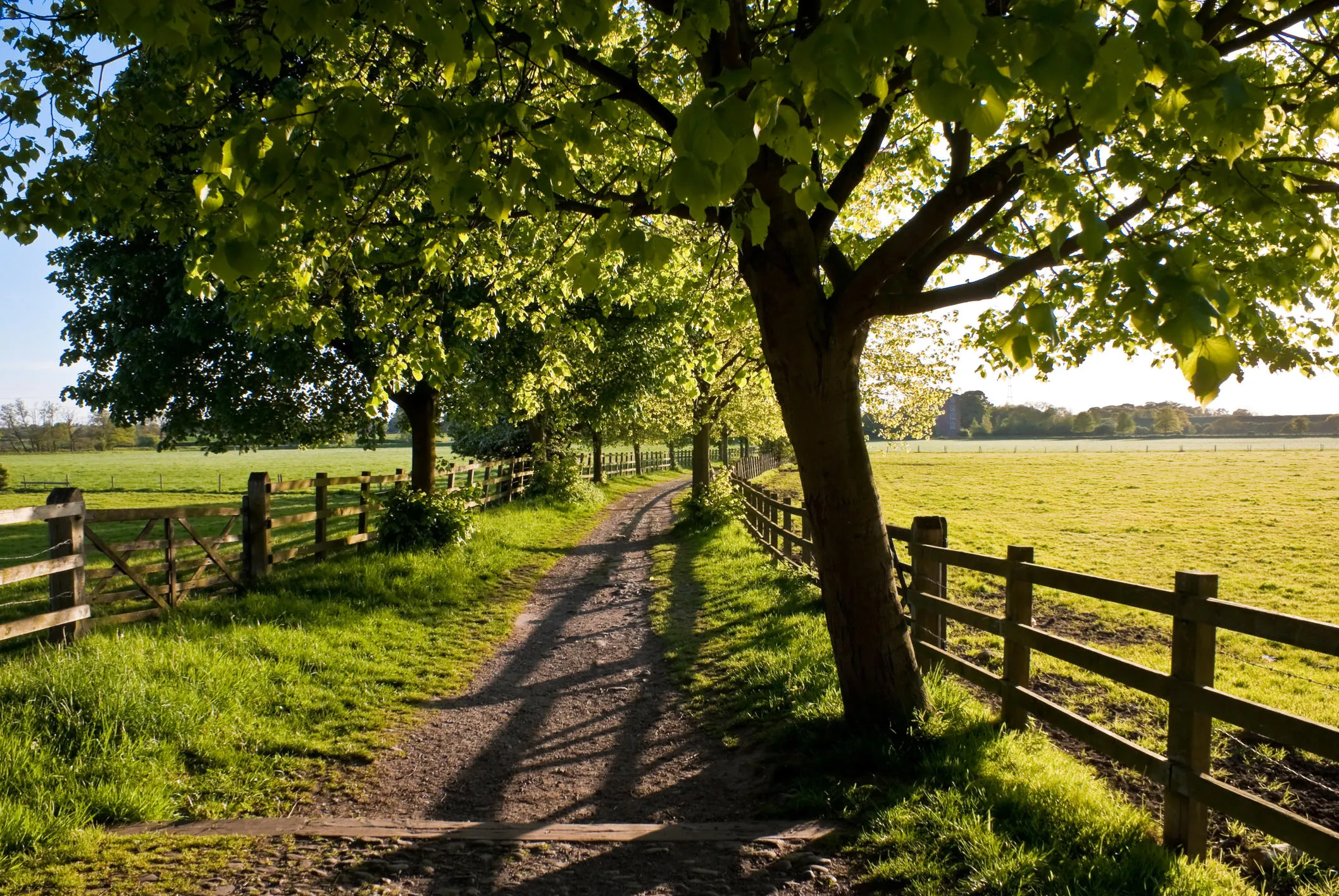 A countryside path in Cheshire
