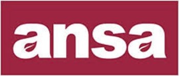 ansa logo 1