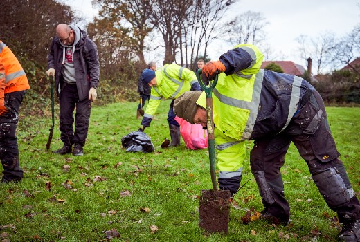 Tree planting 520x350