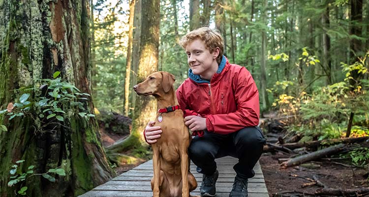 Boy and dog together on a boardwalk in the forest