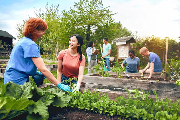 Some people working in an allotment.