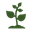 foodGrowing