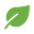 gardenAndGrow