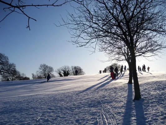 Some people in a snowy park.