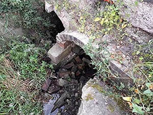 Finake Brook