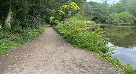 Western Bank
