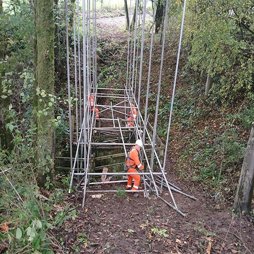 Men working in a forest using scaffolding