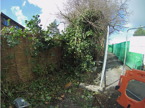 De-vegetation-started-small