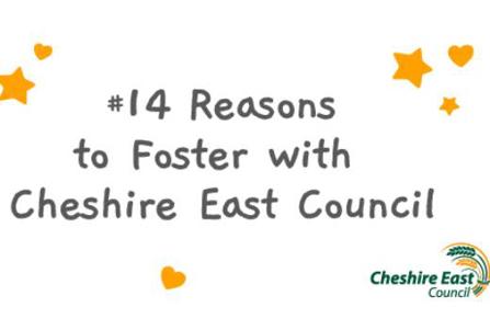 14 reasons to foster campaign poster