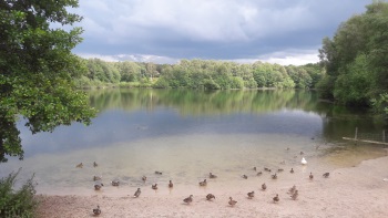 Brereton Heath Lake