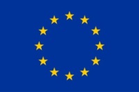 Yellow flag logo
