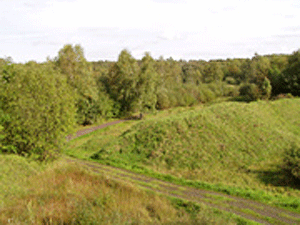 Jacksons' Brickworks