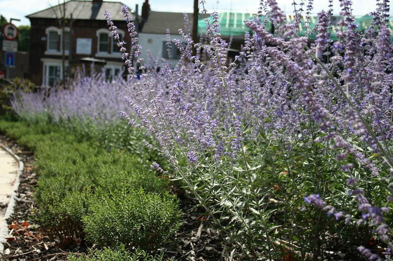 Crewe - Jubilee Gardens