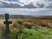 signpost in countryside