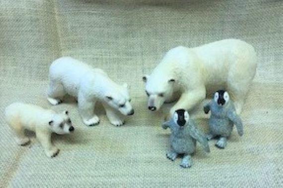 picture of arctic animals