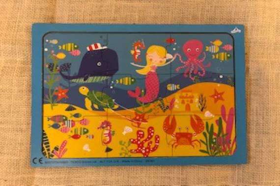 picture of the puzzle 