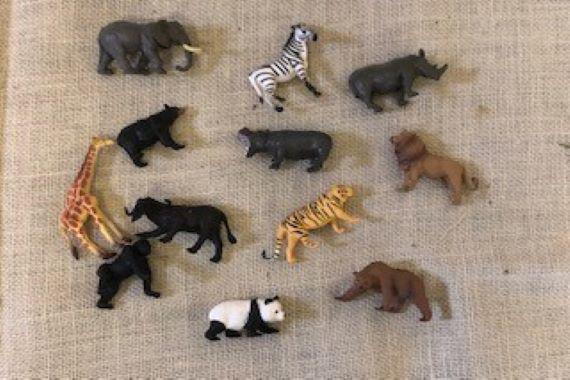 picture of jungle animals 