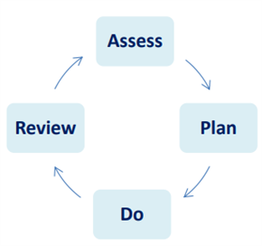 Assess plan do review