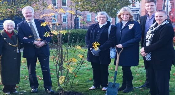 17/11/2022 - Tree planted to commemorate Queen's Jubilee