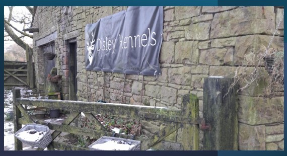 Disley kennels 570x310