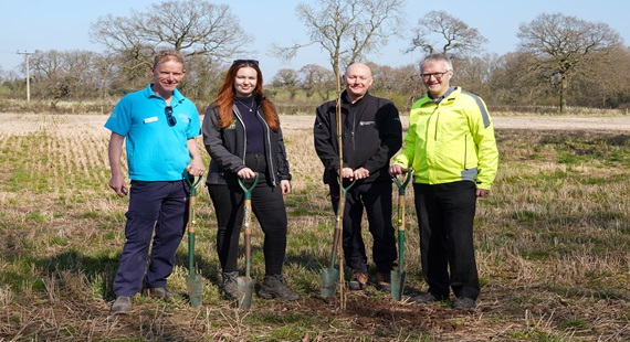 Endangered trees rehoming 570x310