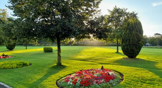 Planting at Queens Park,Crewe