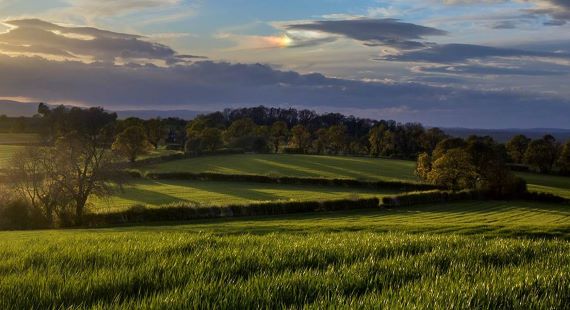 Rural landscape near Crewe - 570x310 web