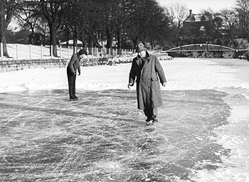 Frozen Bridge at Congleton Park