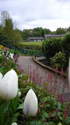 Bollington recreation ground