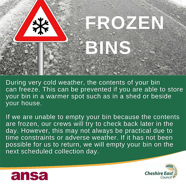 Frozen garden bins 23